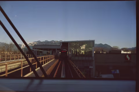 Large image.