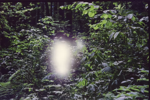 FED-2’s rubberized curtain damage on film.