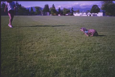 Pentax PC35AF and Fujifilm Superia 400. Inverted automatically in VueScan.