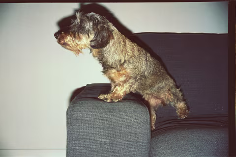Photographing subjects on Rollei 35 in landscape mode with the flash attached casts somewhat unusual shadows, as the light is emitted from below the lens.
