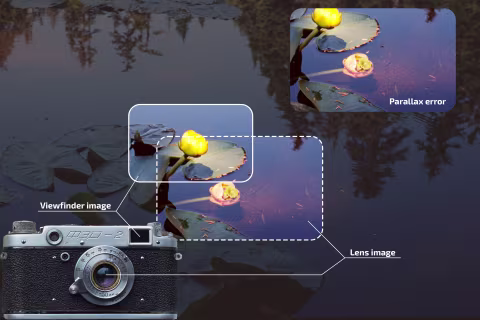 The viewfinder’s position that is up and to the side of the lens creates parallax error when shooting up-close. If the parallax error is not corrected, the upper yellow lily flower framed to appear in the middle of the viewfinder image can get cut off on film. Note that the lens/viewfinder image views represent seeing through the eyepiece at the *back of the camera*. This diagram is an approximation.