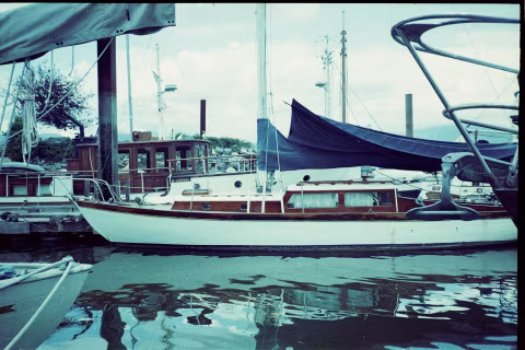 Large image.