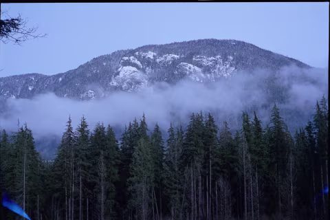 Rollei Prego 100WA with Portra 400. Some light leaks but a decent amount of detail.