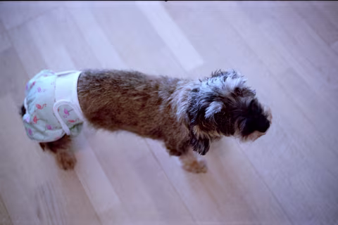 Norah not happy about her diper. Kodak Portra 160 with Voigtländer Vitessa A.
