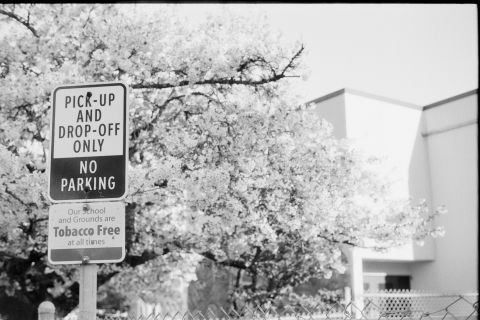 Ilford Ortho Plus 80 with Vitessa A. The “NO PARKING” part of the sign has a bright-red background.