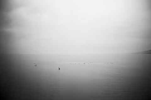 Adox CMS 20 II’s remarkably narrow dynamic range is used in this photograph, taken during a foggy afternoon, to distinguish slight variations in shading that would otherwise be invisible or distorted on wide dynamic range emulsions.