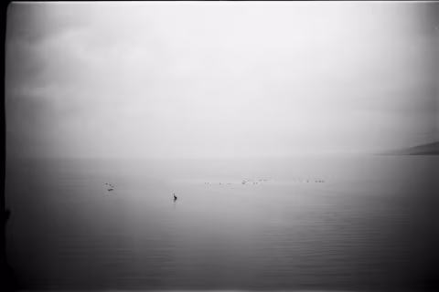 Although Fuji claims that Acros “features the world’s highest standard in grain quality among ISO 100 films” there is something a lot more powerful out there. A highly-specialized Adox CMS 20 is incredibly detailed. By my estimate, CMS 20 will resolve well beyond the usual 20 megapixel limit for 35mm film.