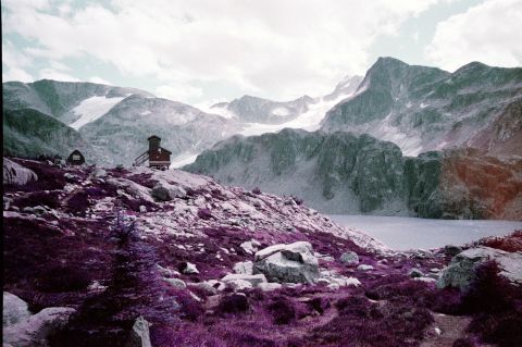 Lomography Lomochrome Purple.