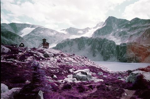 Lomochrome Purple at EI 200. Originally posted in “Shooting Kodak Aerochrome vs. Lomochrome Purple,” I’m considering entering it into one of the Lomography’s award competitions, below.