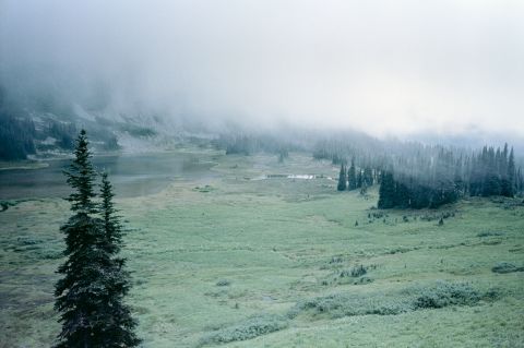 Kodak Portra 160 with Kyocera T-Proof (Yashica T5). Helm Creek Trail, Garibaldi.