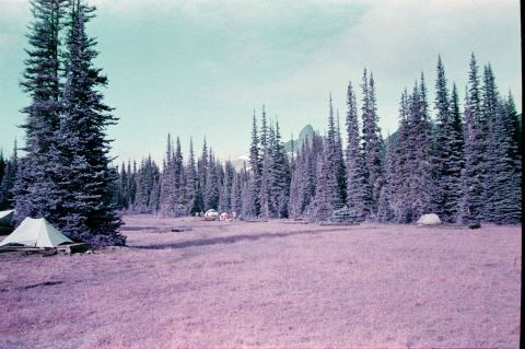 A photo of a camping site at the camera’s narrowest aperture (𝒇16) and focus set to infinity. Notice how everything is in focus. This image demonstrates a wide depth of field. This photo and the one of the mushroom (above) were taken on Lomochrome Purple film.