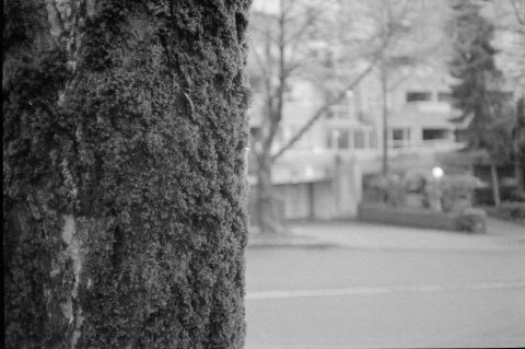 Nikon L35AD2 with Kiki Pan 320 in Ilford DDX. I used the focus lock feature to get the mossy tree trunk portion sharp while keeping the building in the distance blurry.