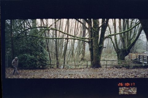 Olympus LT-1 with CineStill 400D (panorama mode with date). A small piece of the image is shown beneath the date to help printer match the two on a contact sheet.