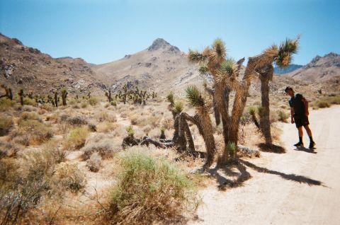 Caleb next to a Joshua Tree.