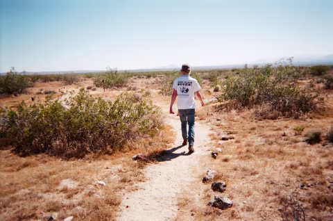 In search of the desert turtle.
