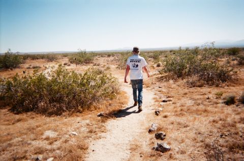 In search of the desert turtle.