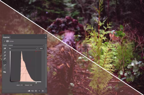 Figure 2: Underexposed Ektachrome E100 scans may benefit from histogram stretching to remove non-information from your image and restore the film’s natural clarity and colour rendition.