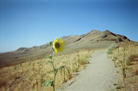 Frary Peak, Antelope Island.