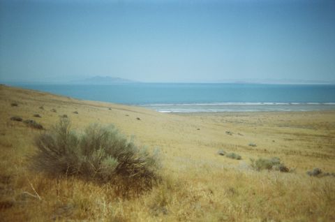 Shurbs, Fremont Island.