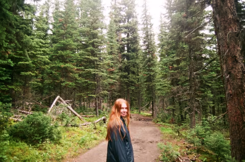 The forest on the Consolation Lakes trail, at Moraine Lake.