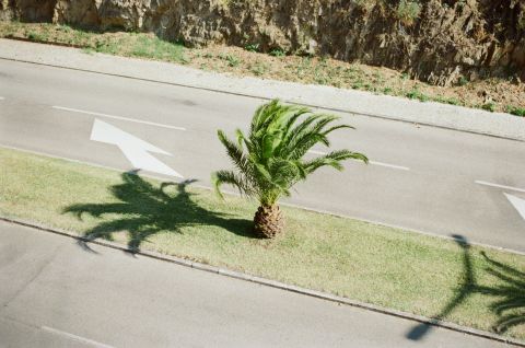 We all pass the time differently. Abrantes. Vivitar V3000. Fuji 200.