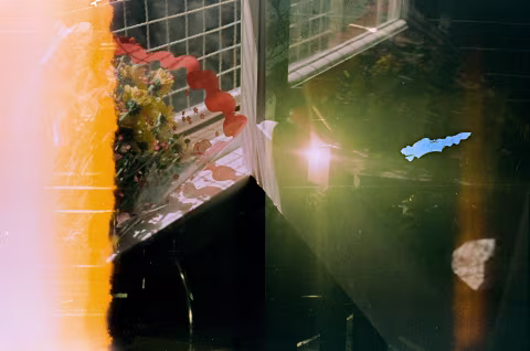 Accidental story: The sunset sneaks into an unclaimed bouquet of flowers. Expired Kodak Vision 800T.