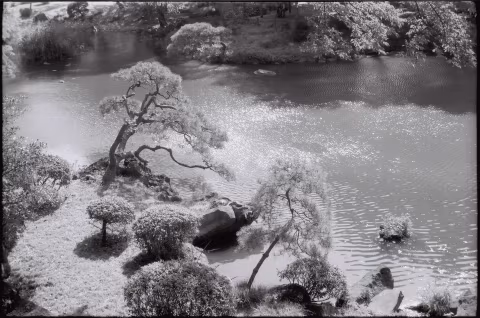 Large image.