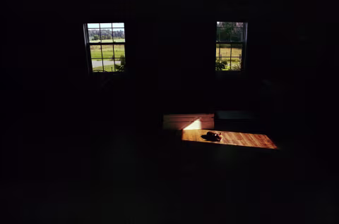 An example of a “frame within a frame” composition technique.