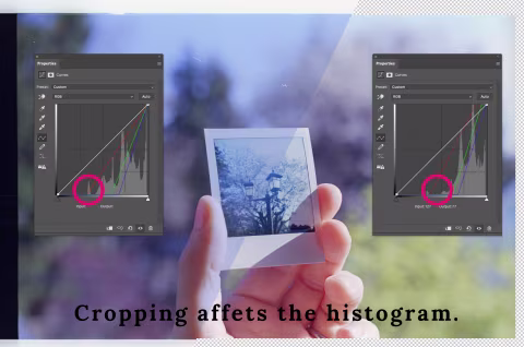 Cropping frame borders ensures a more accurate histogram stretching process. The histogram on the left (where the scan is uncropped) includes more blue cast than the one on the right (where it’s applied to a cropped scan).
