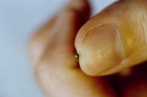 I’m holding a Torx T4 screwdriver (pointing at the camera), used to remove the bottom plate of an SX-70 camera.