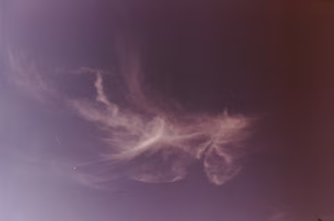 Large image.