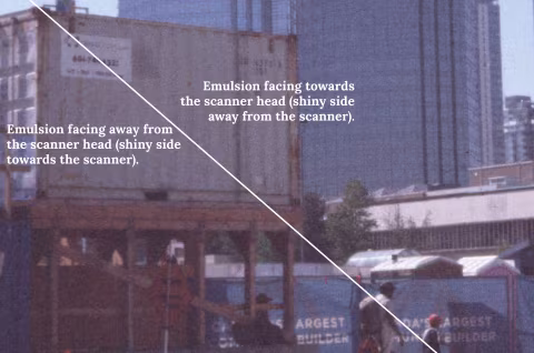 Scanning emulsion side up vs. down: comparing grain detail and resolution in colour slide film (Kodak Ektachrome 200, enlarged).
