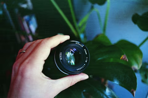 Large image.