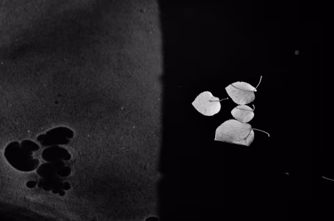 negative/positive. Appleton, Wisconsin. Nikon D5100.