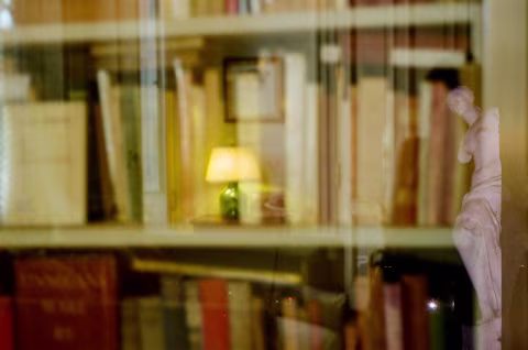 Accidental story: the dream of Venus inside the dream of a lamp inside the dream of a library. Fuji 200.