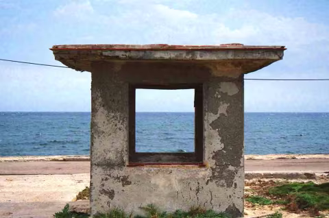 Large image.