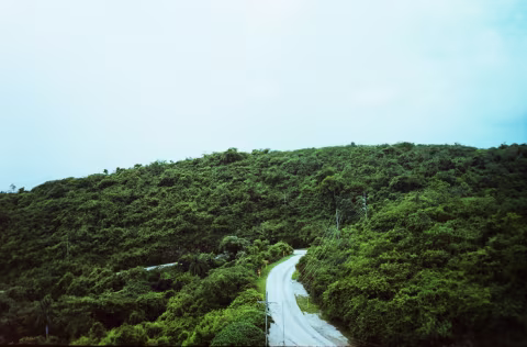 Large image.