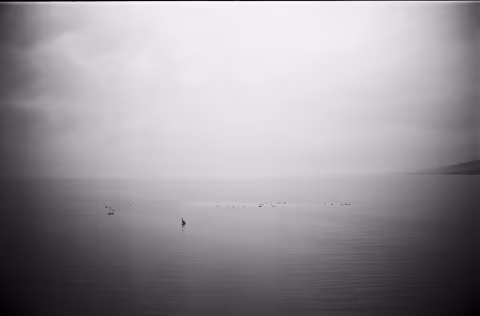 Adox CMS 20, shot at ISO 12. Incredible detail and virtually no perceptible grain.