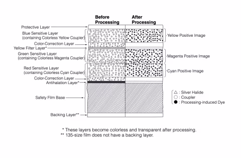Fujifilm Fujichrome Provia 400X film layers.