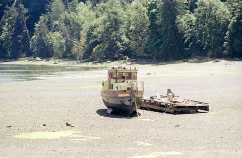 CineStill 50D with Minolta X700 and 135mm Rokkor-X f2.8.