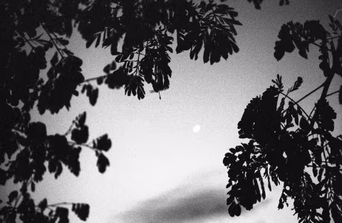 Large image.