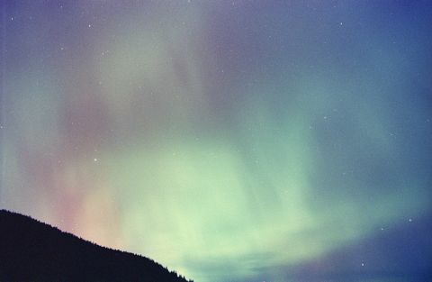 Northern lights near Vancouver, BC on October 10-11, 2024. Canon F-1 with 24mm FD 𝒇2.8 and CineStill 800T EI 3200. 30s 𝒇2.8.