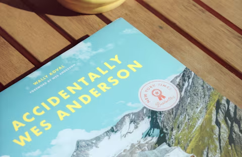 Accidentally Wes Anderson