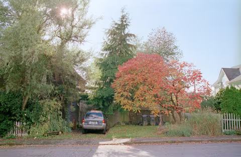 Cinima Shorts 250D with Nikon F2 and Nikkor 28mm 𝒇3.5 AI-S. Scanned with Nikon SUPER COOLSCAN 5000ED, inverted with Film Q, colour correction in Photoshop.