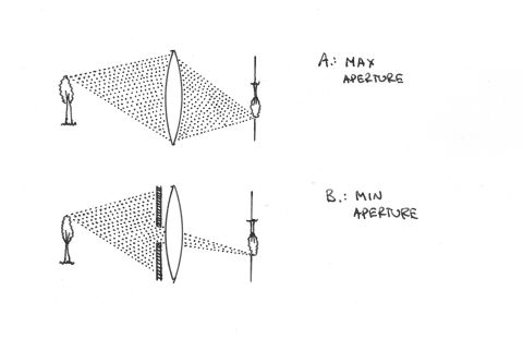 What is F-Stop and Why is the F-Number of the Lens So Important