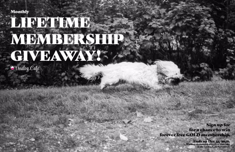 Film Photography News — December 2025 Recap