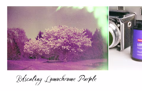 Redscaling Lomochrome Purple
