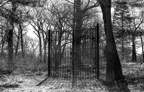 “Erroneous Gate.” Camera: Olympus OM2n, shot on Ilford XP2 Super 400.