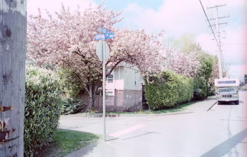 Portra 800 with Nikon F2, overexposed by +2 stops. Colour corrected.