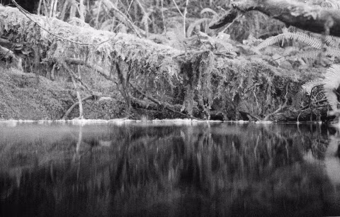 Above water with the 35mm W-Nikkor 𝒇2.5 and Ilford Delta 3200 @EI1600.